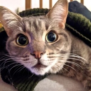 ✨ WELCOME! GLAD YOU MADE IT HERE! ✨